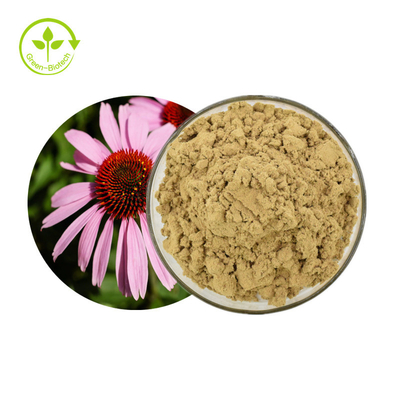 Venda imperdível Extrato de Echinacea Purpurea Ervas Extrato de Echinacea