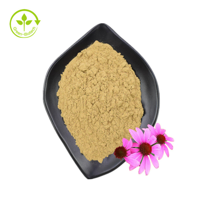Polifenóis padrão GMP de alta qualidade Echinacea Purpurea Pó Extrato de Echinacea Purpurea