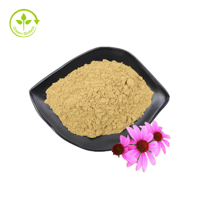 Polifenóis padrão GMP de alta qualidade Echinacea Purpurea Pó Extrato de Echinacea Purpurea