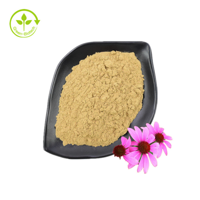 Fornecimento Extrato de Echinacea Purpurea de boa qualidade Suplemento de saúde Extrato de Echinacea Purpurea