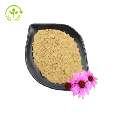Fornecimento Extrato de Echinacea Purpurea de boa qualidade Suplemento de saúde Extrato de Echinacea Purpurea