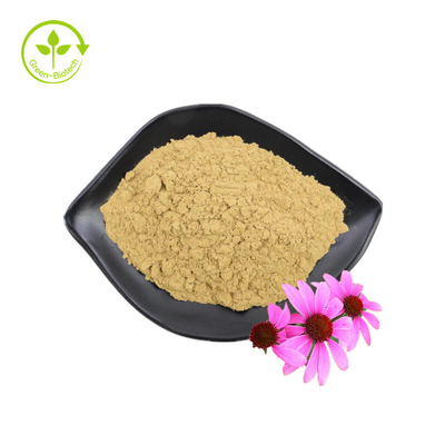 Atacado Fornecimento 3% Ácido Chicórico Echinacea Purpurea Extrato de Flor Echinacea Purpurea