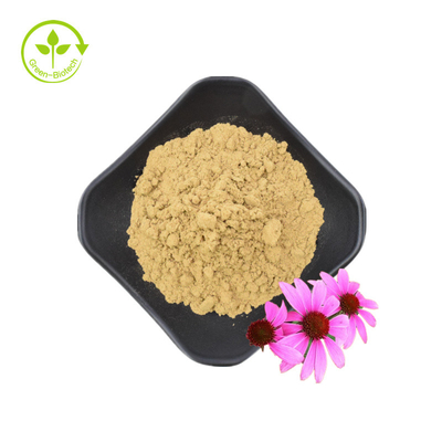 Extrato de raiz de Echinacea Purpurea de alta qualidade 10% polifenóis Extrato de Echinacea Purpurea Extrato de Echinacea