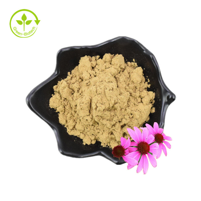 Puro Ácido Chicórico 4% Echinacea Purpurea Extrato de Flor em Pó Extrato de Echinacea Purpurea