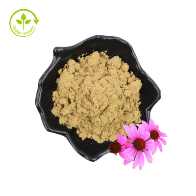 Echinacea Purpurea Extract Echinacea Extract 4% Ácido Cícorico