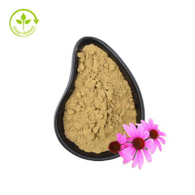 Extracto orgânico de Echinacea purpurea Extracto de raiz de Echinacea