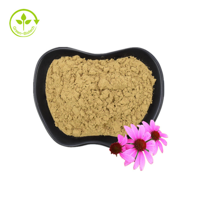 Extracto orgânico de Echinacea purpurea Extracto de raiz de Echinacea