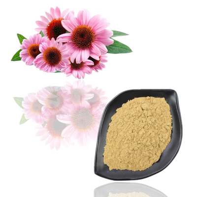 Extrato da flor de Purpurea do Echinacea do pó do extrato da planta do produto comestível