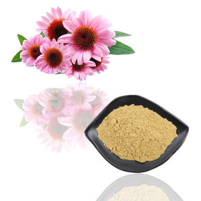 Extrato da flor de Purpurea do Echinacea do pó do extrato da planta do produto comestível