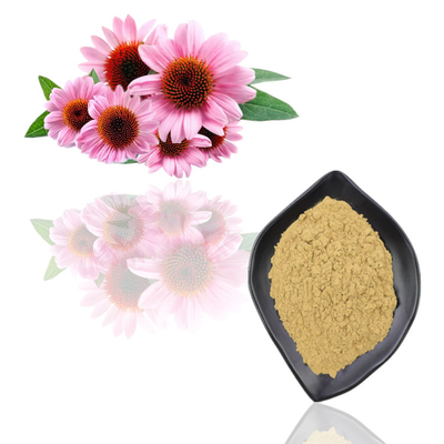 Volume natural puro do pó do extrato de Purpurea do Echinacea do pó do extrato da planta