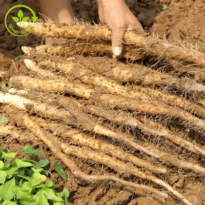 Alimento/categoria cosmética Yam Extract natural 98% Diosgenin Yam Extract Powder selvagem