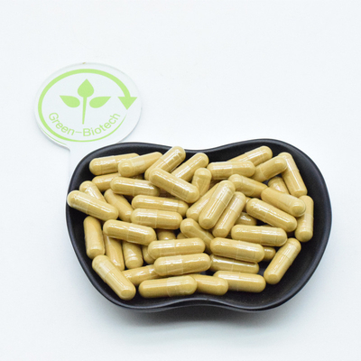 Extracto de raiz de ginseng americano puro em pó 10:1