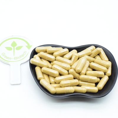 Extracto de raiz de ginseng vermelho da Síria e Coreia 10% 20% 80% Ginsenosídeos em pó
