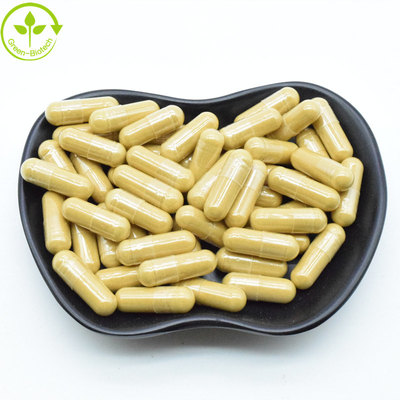 Extracto Natural de Raiz de Panax Ginsenosídeos Vermelhos Coreanos em Pó 25 kg/Tambor