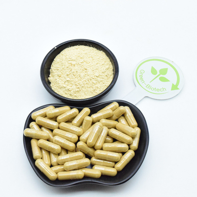 99% Panax Ginseng Root Extract Ginseng em pó para produtos para a pele