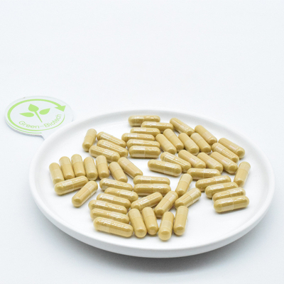Genseng de montanha de Changbai Panax Raízes Farmacêuticas Genseng fresco