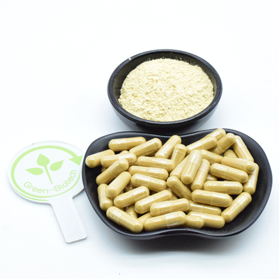 Raiz de ginseng planta natural extrai o pó de ginseng fresco seco