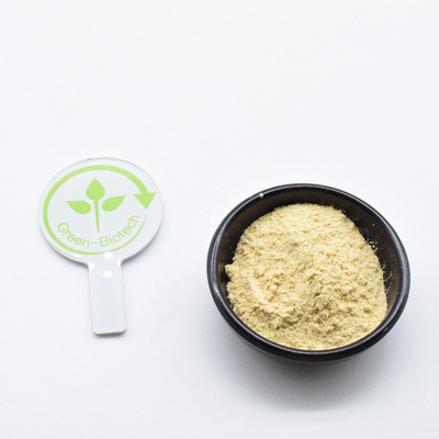 Ervas secas Panax orgânico Sementes de ginseng chinês selvagem Produto de raiz de ginseng em pó