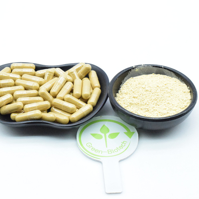 25 kg/tambor Extractos de plantas naturais de raiz de ginseng Extractos de ginsenosidas