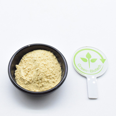 Suplemento de Saúde 99% de extrato de raiz de ginseng em pó para ginseng