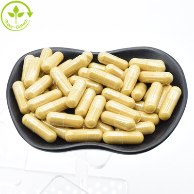 Fornecimento de fábrica raiz de ginseng pó Panax ginseng extrato 20:1 ginsenosida 80%