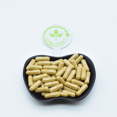 Extracto de raiz de ginseng natural cápsulas em pó bebida de café sementes de chá Panax ginseng