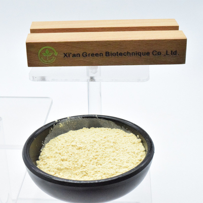 Raiz de ginseng orgânico fortalece sistema imunológico Ginseng de alta qualidade