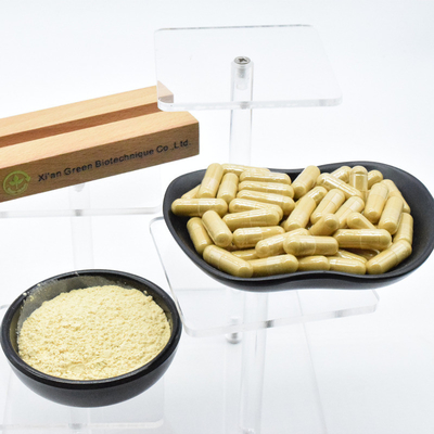 100% extracto de plantas naturais extracto de ginseng em pó para reforçar a energia vital