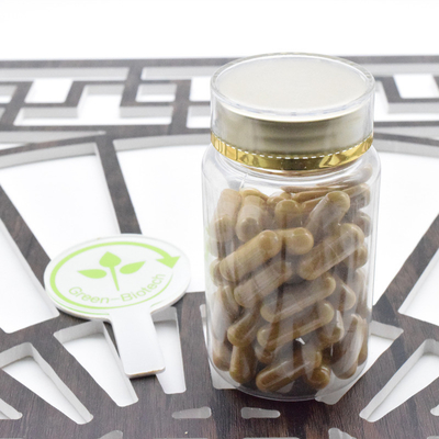 Suplemento de cuidados de saúde Puro Panax Ginseng em pó Panax Ginseng Extract 5%-80% Ginsenosida