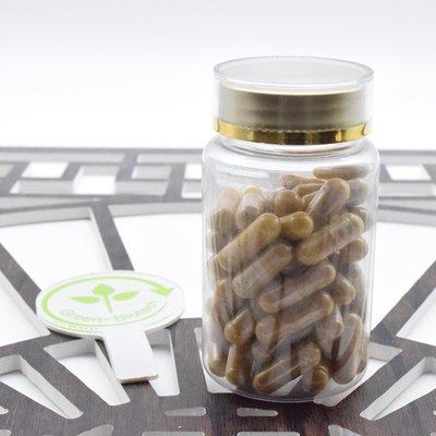 Fornecimento de fábrica raiz de ginseng pó Panax ginseng extrato 20:1 ginsenosida 80%