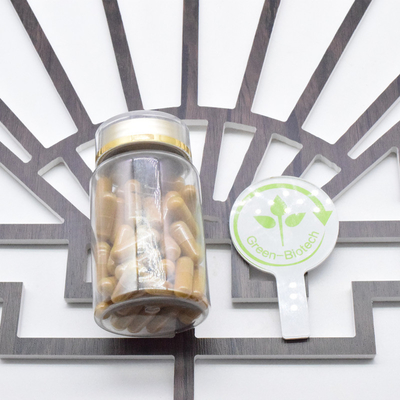 Ginseng raiz Ginseng seco Ginseng fresco Ginseng por bom preço
