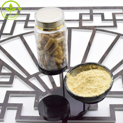 Raiz de Ginseng Vermelho Seco Pequena Faixa Raiz de Ginseng Vermelho Inteiro 8 Anos