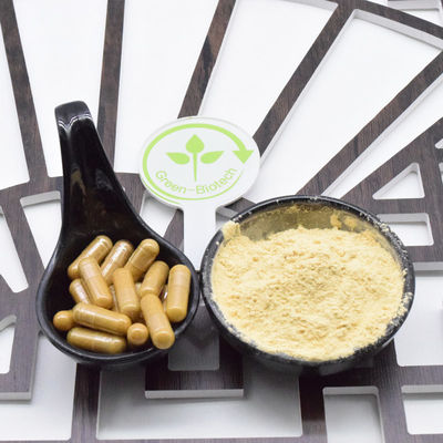 Raiz de Ginseng Vermelho Seco Pequena Faixa Raiz de Ginseng Vermelho Inteiro 8 Anos