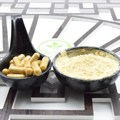 Amostra grátis de Panax Ginseng Ginsenosides 30% Panax Ginseng Vermelho em pó