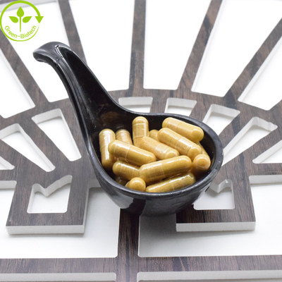 Amostra Gratuita de Ginkgo Biloba Orgânico Capsula Extracto Líquido Ginkgo Biloba Ginseng