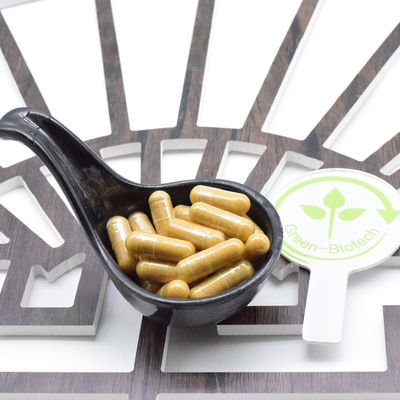 OEM Custom GMP Herbal Coreano Root Extract de Ginseng Vermelho cápsulas de ouro