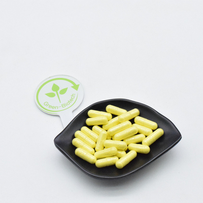 Proteína em pó de pó de pinheiro Nutritivo e saboroso Suplemento de energia em pó de proteína