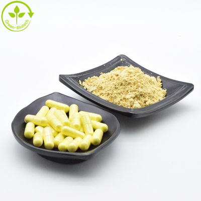 Pólvora de extrato de pó natural de pólen de pinheiro 20:1 a bom preço
