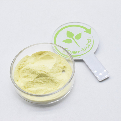 Marca privada amarelo em pó fino CO2 extracto de kava 30% por bom preço