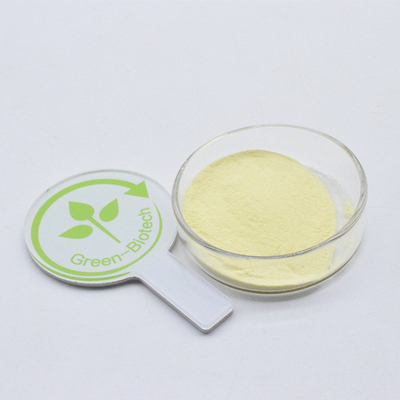Fornecimento de fábrica por atacado 100% extracto de raiz de kava natural em pó fino amarelo
