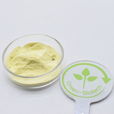 Fornecimento de fábrica por atacado 100% extracto de raiz de kava natural em pó fino amarelo