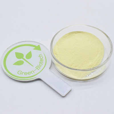 Marca privada Kava Extract 30% amarelo em pó fino Kavalactone Por bom preço