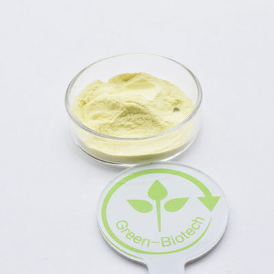 Marca privada Kava Extract 30% amarelo em pó fino Kavalactone Por bom preço