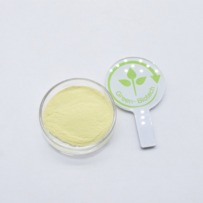 Extracto orgânico de kava amarelo em pó 30% Kavalactones