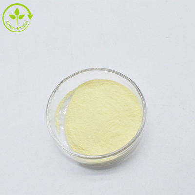 Marca privada Amarelo em pó fino Extrato de kava em pó 30% Kavalactonas