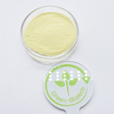 Melhor preço a granel 100% natural puro 70% Kavalactones extracto de kava em pó