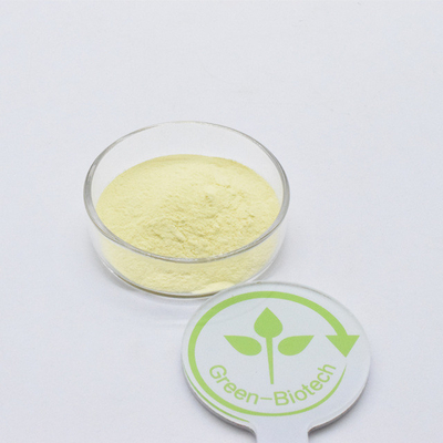Cuidados de Saúde Castanho Amarelo Extracto Natural de Kava Cápsula Plantação Artificial