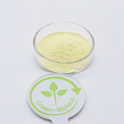 Venda Quente Extracto de Raiz de Kava Marrom Amarelo em Pó Plantação Artificial