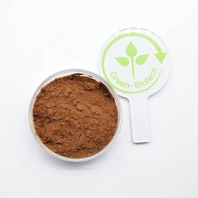 Suplemento de ervas vegetais de fábrica Extracto de Flor de Crisântemo Amarelo Marrom