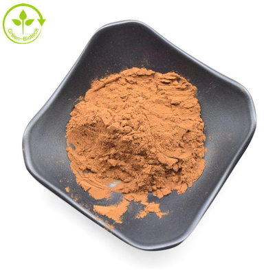 Fornecimento de fábrica Grade alimentar Natural a granel Extracto de crisântemo castanho 5:1